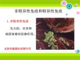 13.3《人体免疫》ppt课件2北师大版生物七年级下册