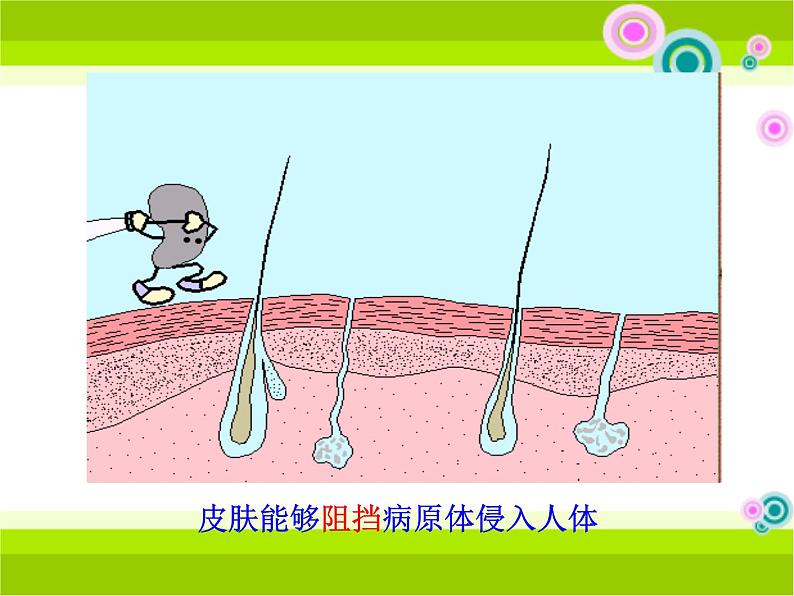 13.3《人体免疫》ppt课件2北师大版生物七年级下册07