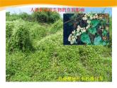 14.1《人类活动对生物圈的影响》ppt课件北师大版生物七年级下册