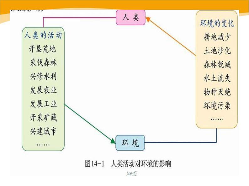 14.1《人类活动对生物圈的影响》ppt课件北师大版生物七年级下册第6页