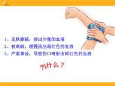 9.2《血液循环》ppt课件北师大版生物七年级下册