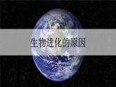 21.2生物进化的原因1 课件 北师大版八年级生物下册