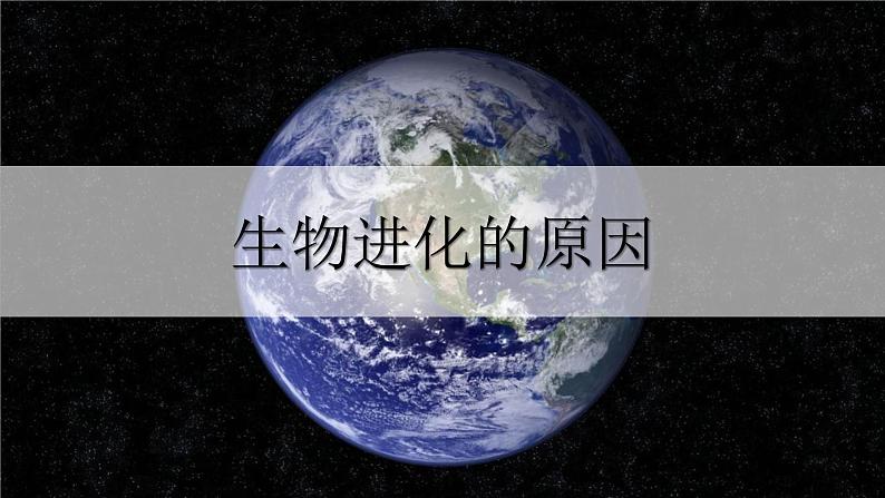 21.2生物进化的原因1 课件 北师大版八年级生物下册01