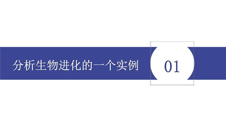 21.2生物进化的原因1 课件 北师大版八年级生物下册03