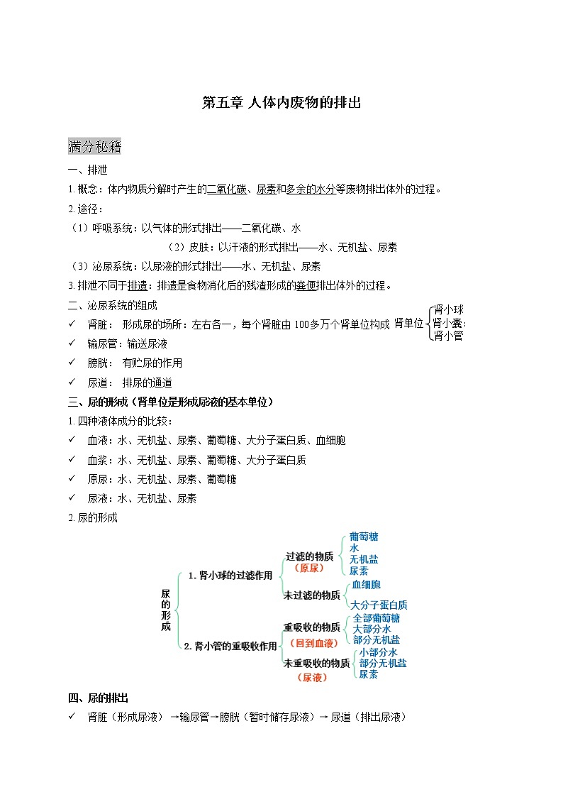 人教版生物七年级下册期末复习章节知识点汇总及练习 第五章 人体内废物的排出第1页