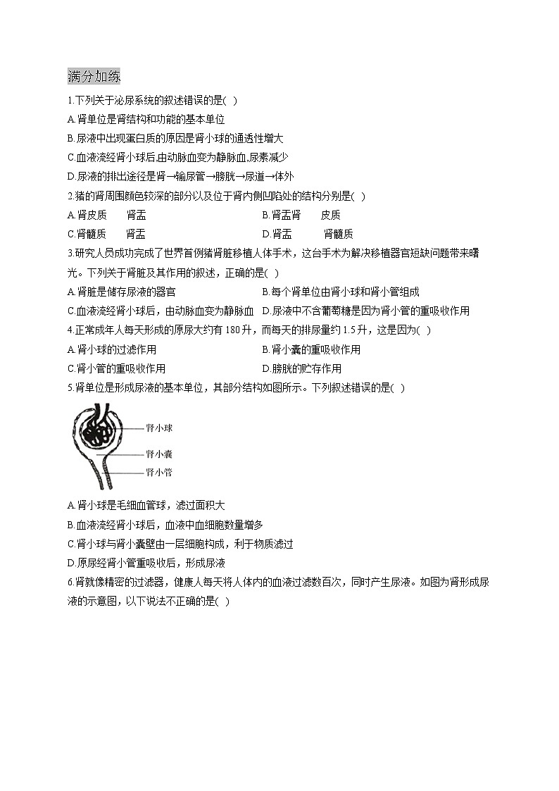 人教版生物七年级下册期末复习章节知识点汇总及练习 第五章 人体内废物的排出第2页