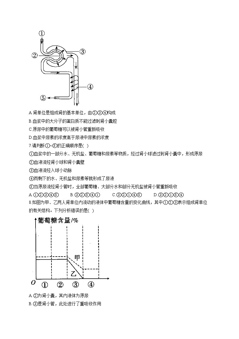 人教版生物七年级下册期末复习章节知识点汇总及练习 第五章 人体内废物的排出第3页