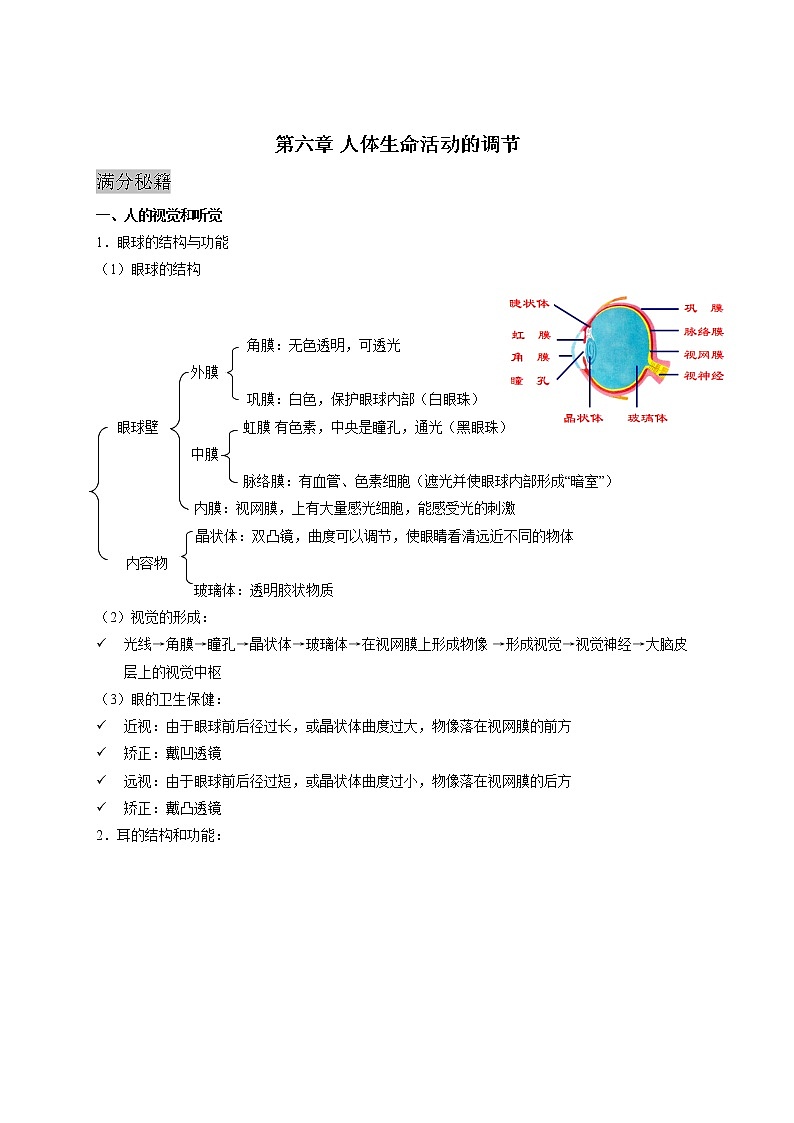 人教版生物七年级下册期末复习章节知识点汇总及练习 第六章 人体生命活动的调节01