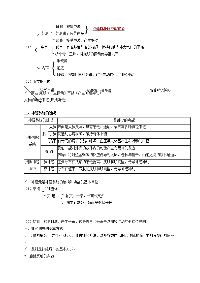 人教版生物七年级下册期末复习章节知识点汇总及练习 第六章 人体生命活动的调节02