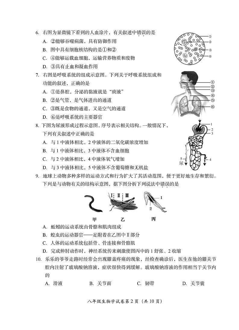 2022年北京市房山区八年级二模生物试卷（无答案）02