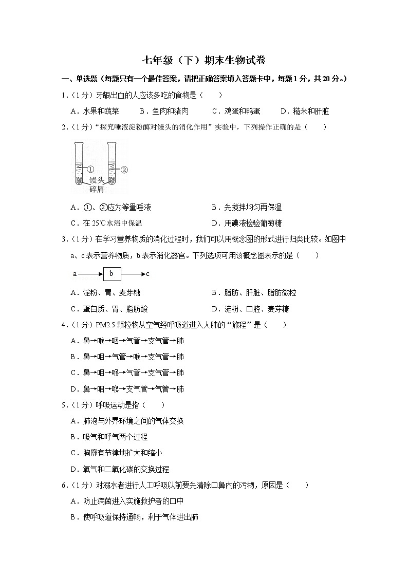 人教版生物七年级下册  期末测试卷2（含答案）第1页