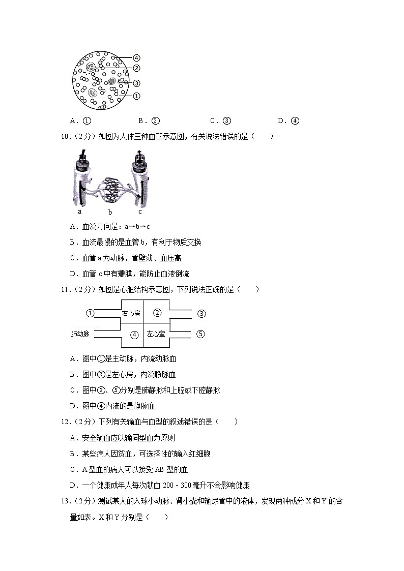 人教版生物七年级下册  期末测试卷3（含答案）03