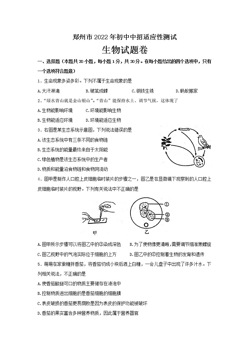 2022年河南省郑州市初中中招适应性测试（二模）生物试题(word版含答案)01