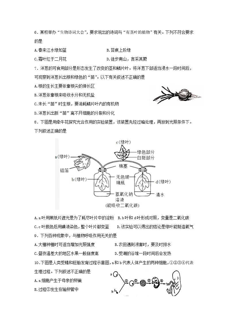 2022年河南省郑州市初中中招适应性测试（二模）生物试题(word版含答案)02