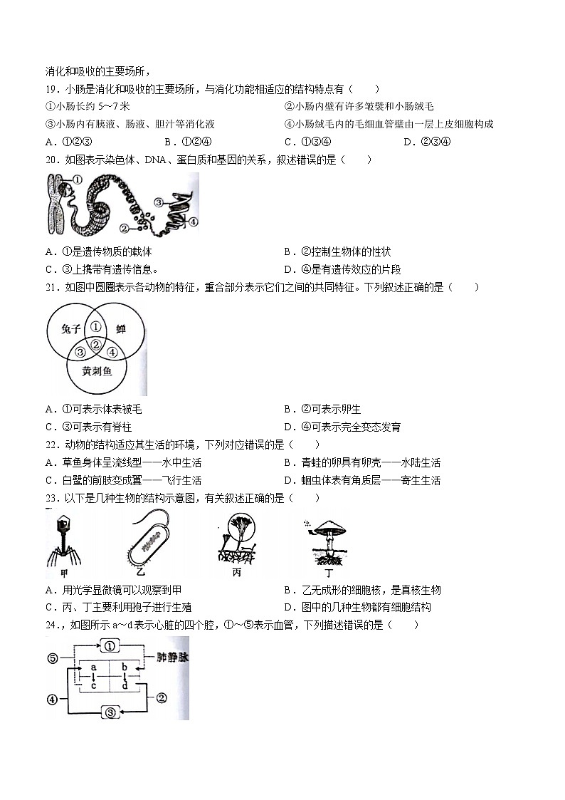 2022年福建省厦门市集美区中考二模生物试题(word版无答案)第3页