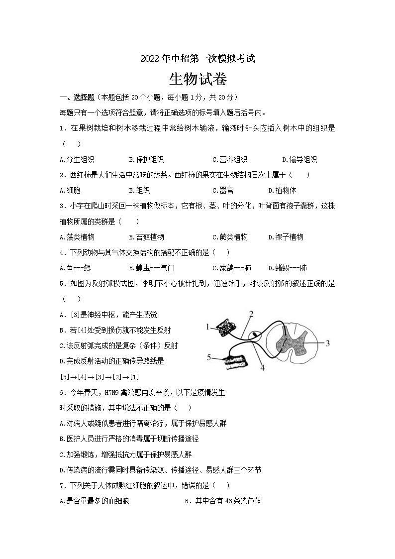 2022年河南省商丘市夏邑县中招第一次模拟考试生物试题(word版含答案)01