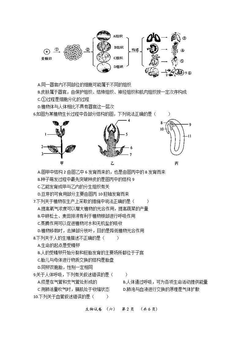 2022年河南省濮阳市清丰县中招考试模拟试卷 生物（六）(word版含答案)第2页
