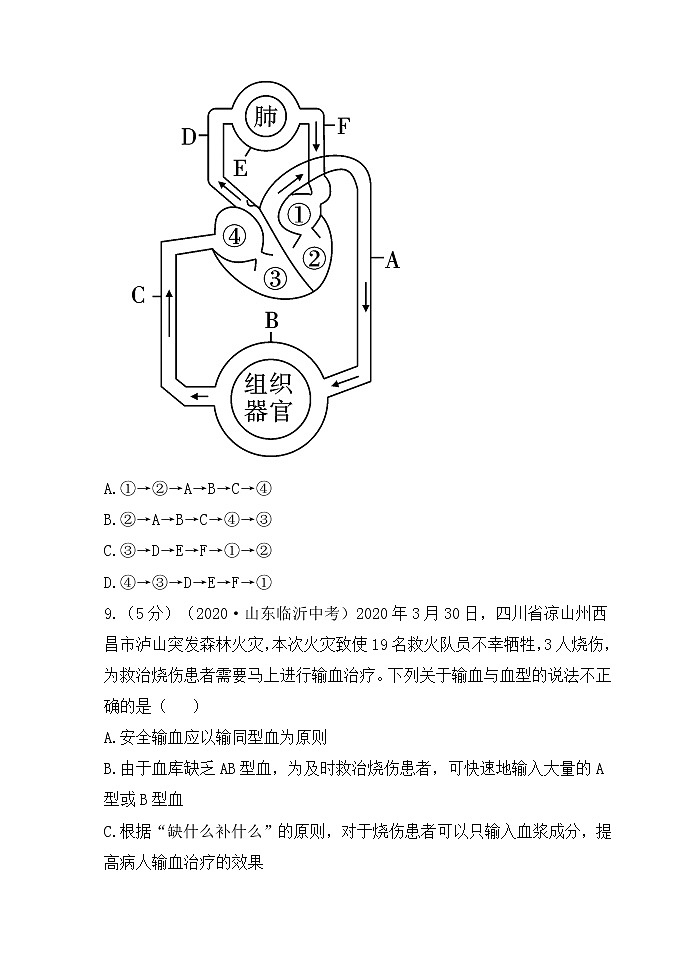人教版生物七年级下册  第四单元  第四章  检测试卷（含答案）03