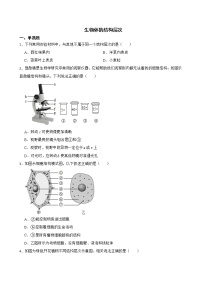 2021年山东省中考生物真题汇编 生物体的结构层次解析版