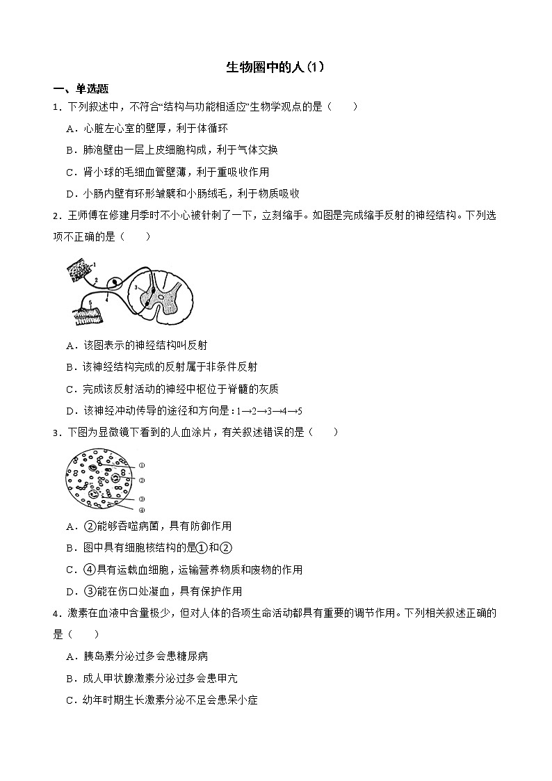 2021年山东省中考生物真题汇编 生物圈中的人解析版01
