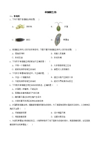 备考2022年中考生物专题 单细胞生物解析版