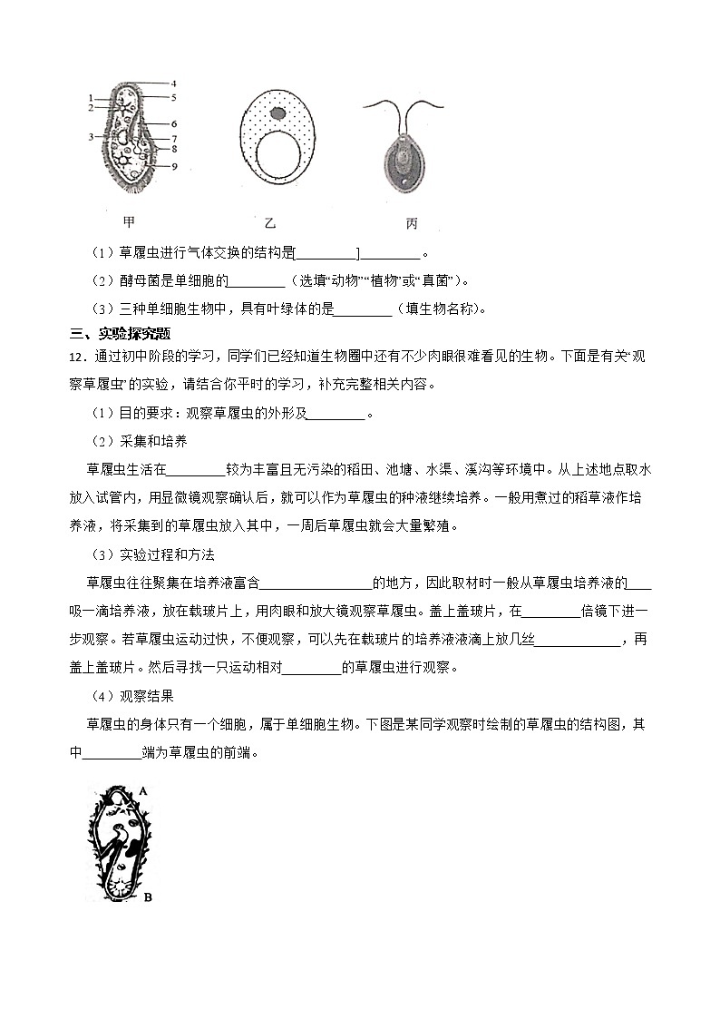 备考2022年中考生物专题 单细胞生物解析版第3页