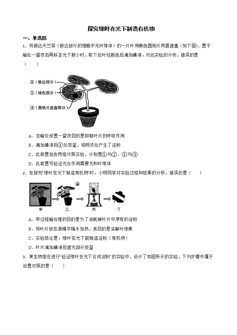 备考中考生物实验专项复习 探究绿叶在光下制造有机物解析版第1页
