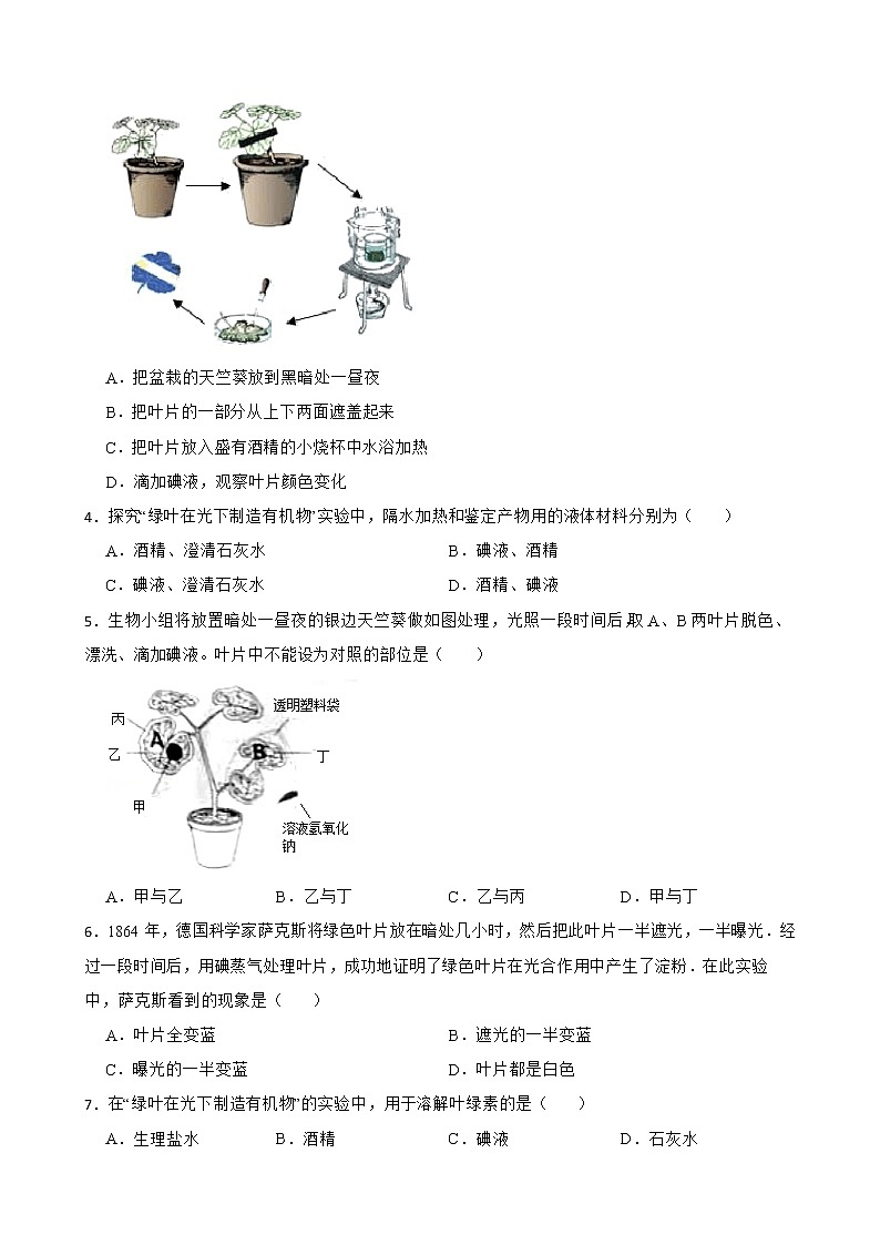 备考中考生物实验专项复习 探究绿叶在光下制造有机物解析版第2页