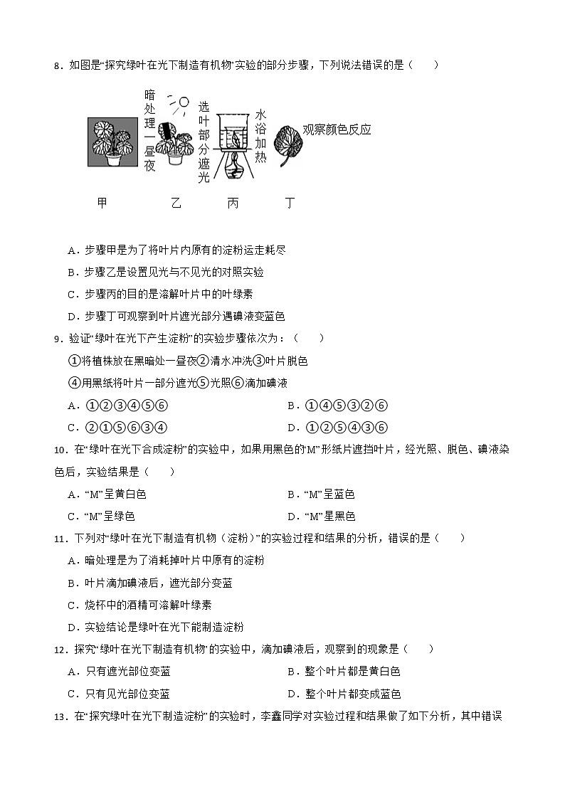 备考中考生物实验专项复习 探究绿叶在光下制造有机物解析版第3页