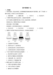 备考中考生物专题 被子植物的一生解析版