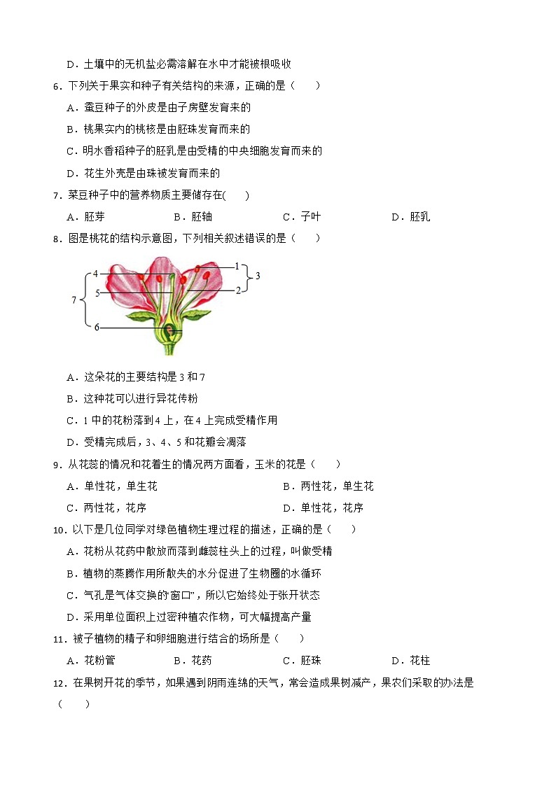 备考中考生物专题 被子植物的一生解析版第2页