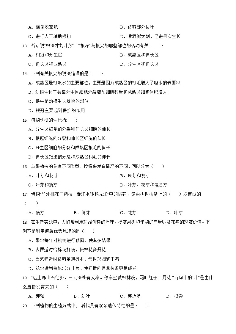 备考中考生物专题 被子植物的一生解析版第3页