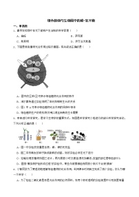 备考中考生物专题 绿色植物与生物圈中的碳-氧平衡解析版