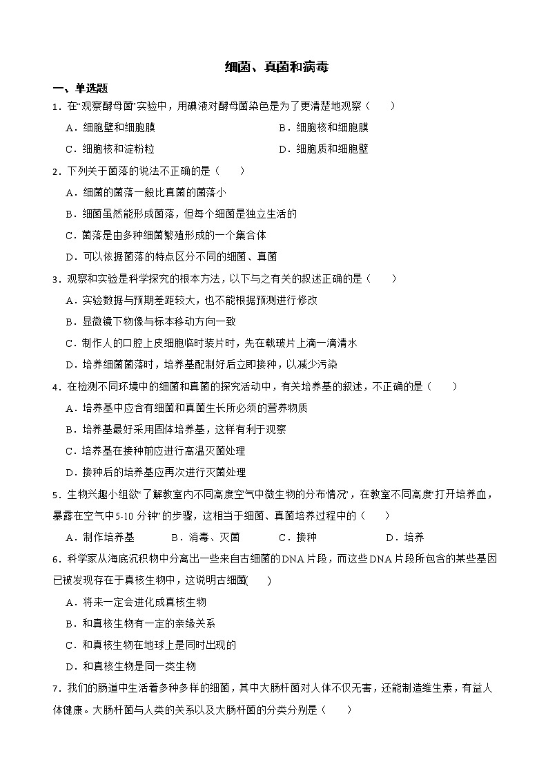 备考2022年中考生物专题 细菌、真菌和病毒解析版第1页