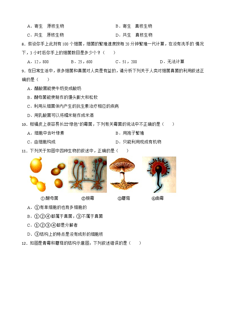 备考2022年中考生物专题 细菌、真菌和病毒解析版第2页