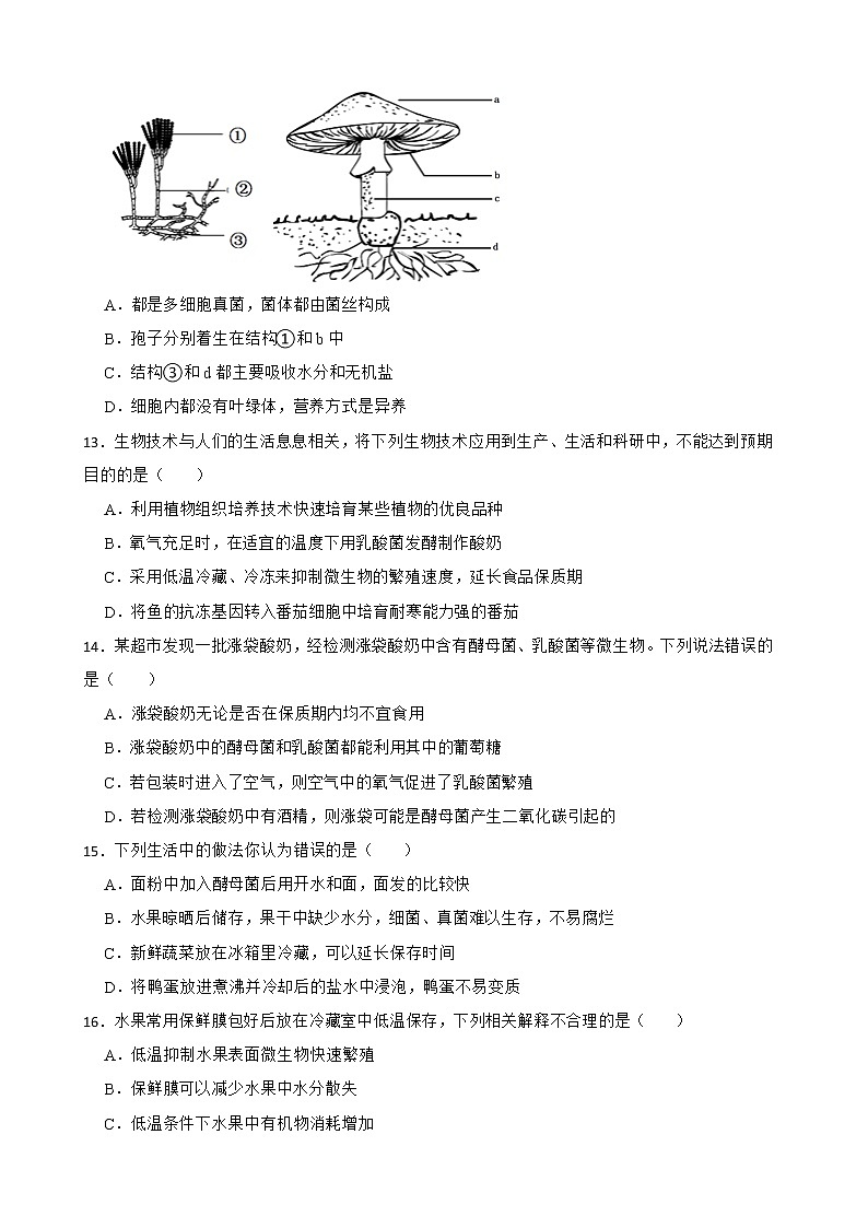 备考2022年中考生物专题 细菌、真菌和病毒解析版第3页