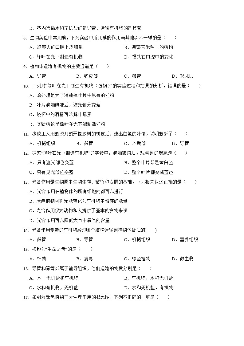 备考中考生物专题 绿色植物是生物圈中有机物的制造者解析版第2页