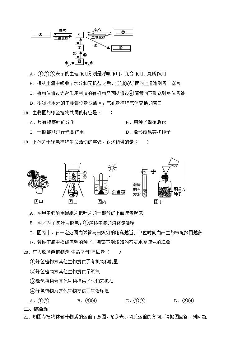 备考中考生物专题 绿色植物是生物圈中有机物的制造者解析版第3页