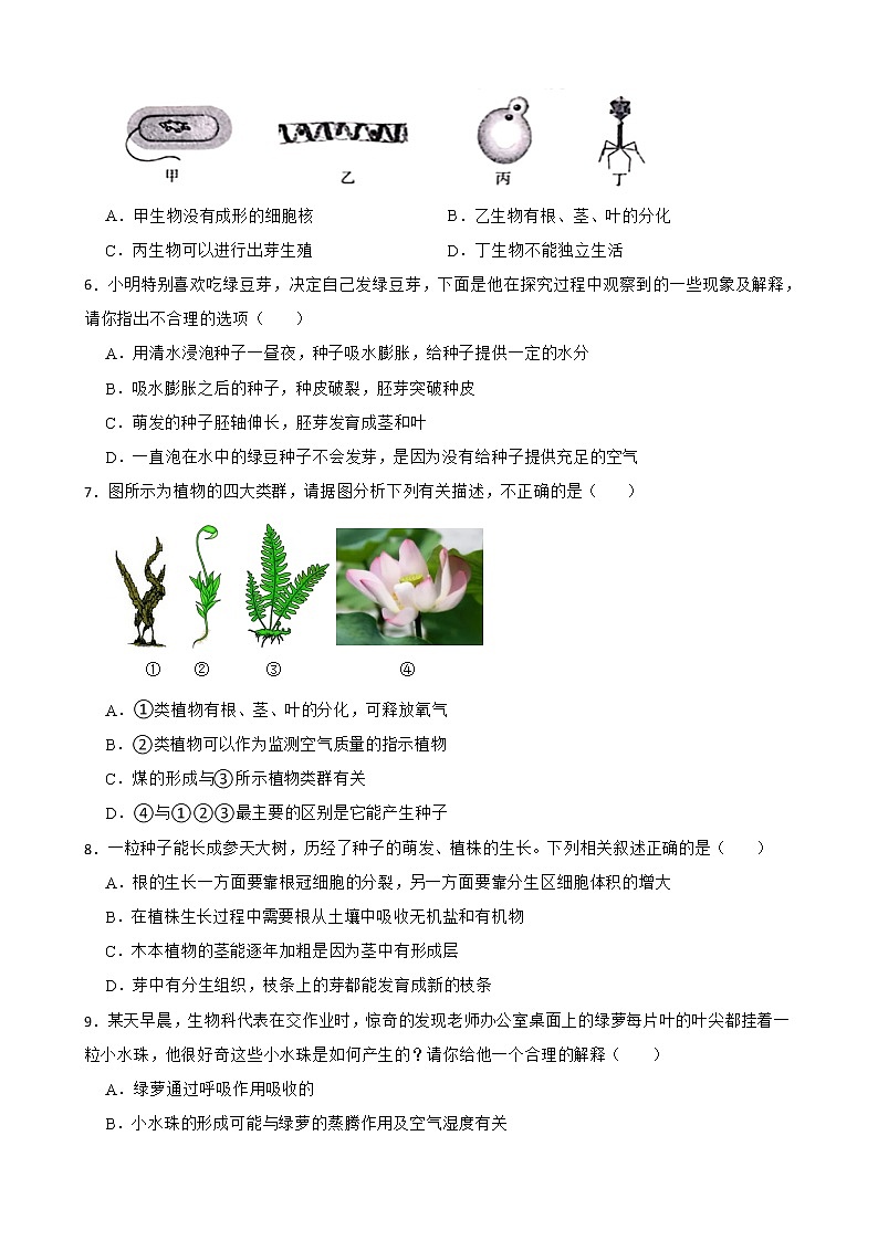 广西中考生物三年真题汇编 生物圈中的绿色植物解析版02