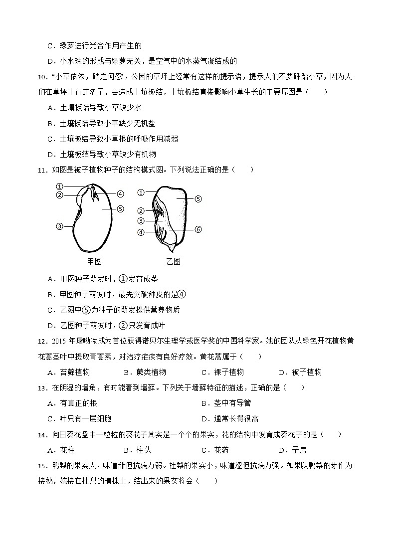 广西中考生物三年真题汇编 生物圈中的绿色植物解析版03