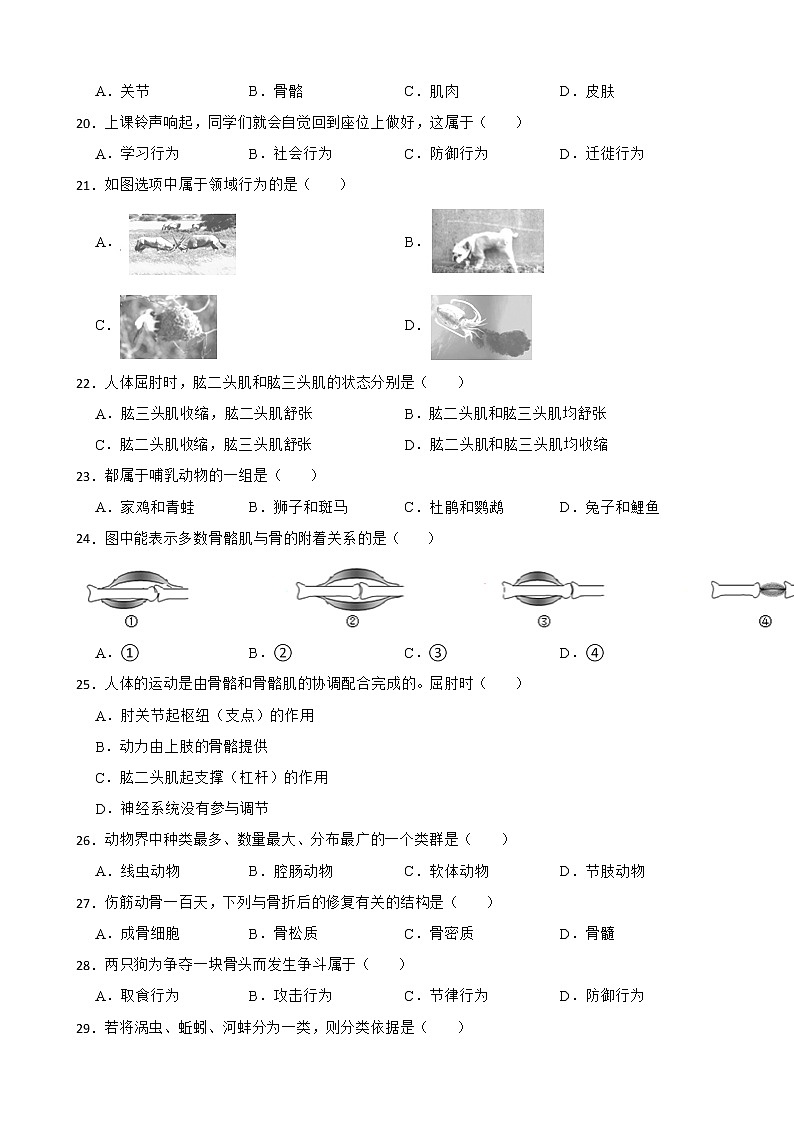 广西中考生物三年真题汇编 生物圈中的动物解析版第3页