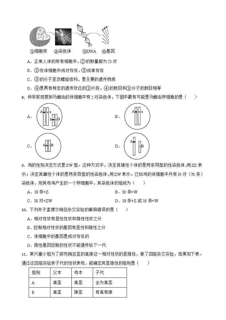 备考2022年中考生物专题 生物的遗传和变异解析版第2页