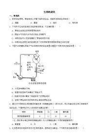 备考2022年中考生物专题 生物的进化解析版