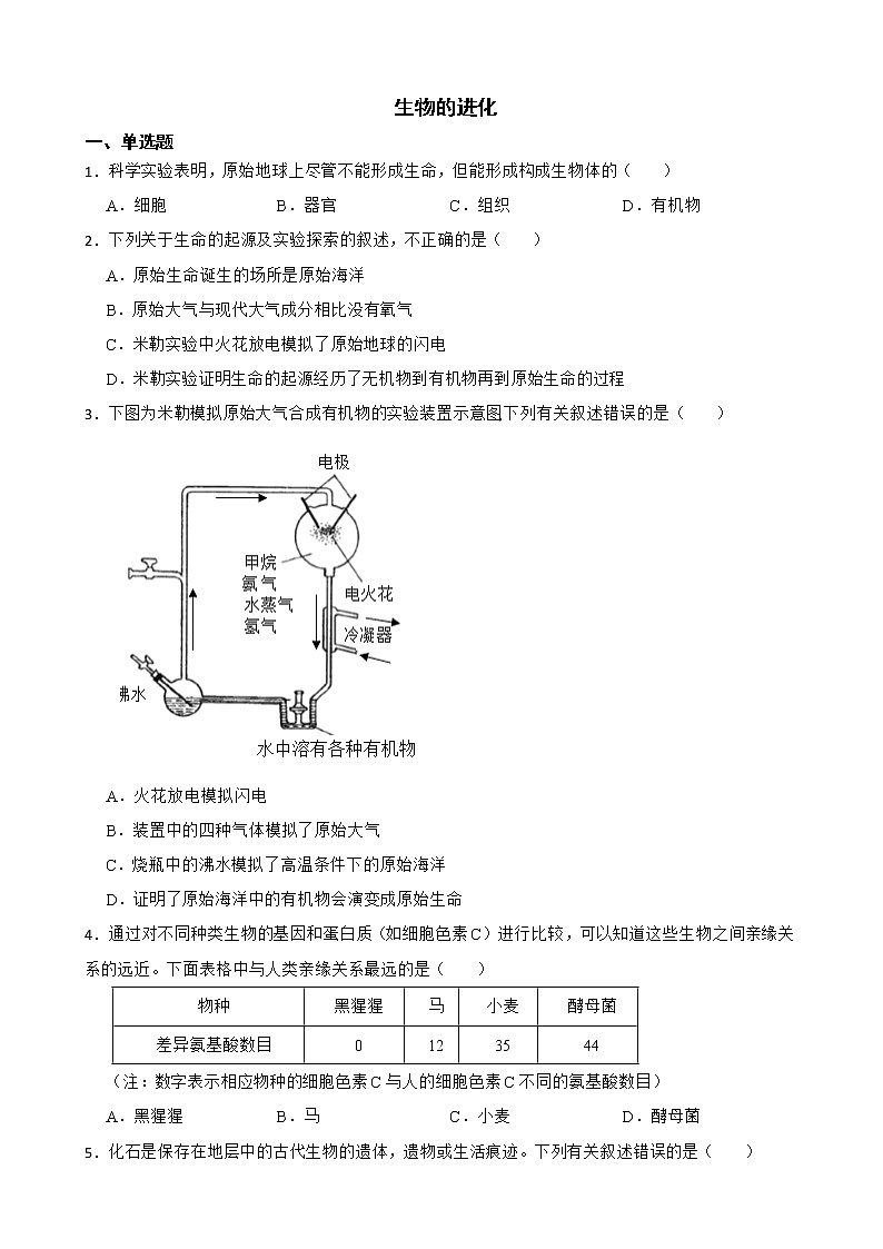 备考2022年中考生物专题 生物的进化解析版01