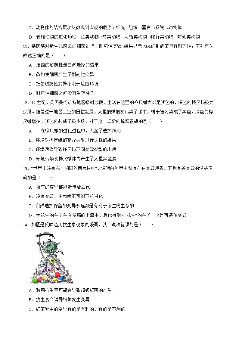 备考2022年中考生物专题 生物的进化解析版03