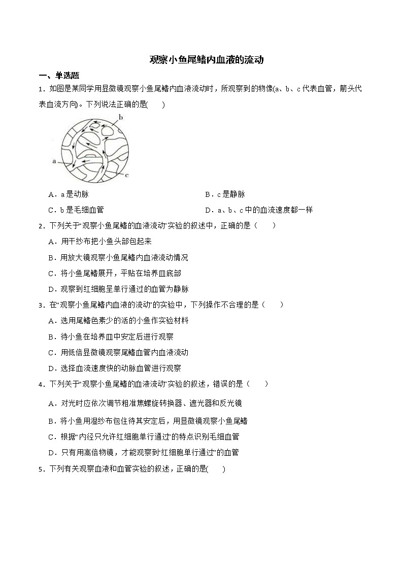 备考中考生物实验专项复习 观察小鱼尾鳍内血液的流动解析版 练习01