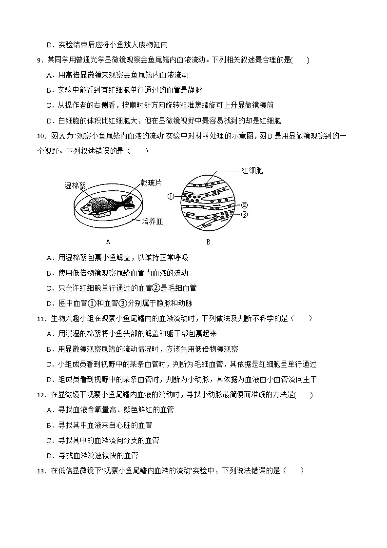 备考中考生物实验专项复习 观察小鱼尾鳍内血液的流动解析版 练习03