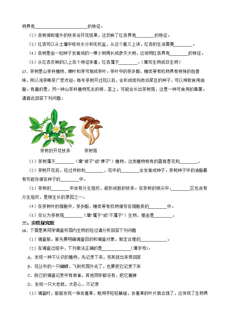 备考中考生物专题 认识生物解析版03