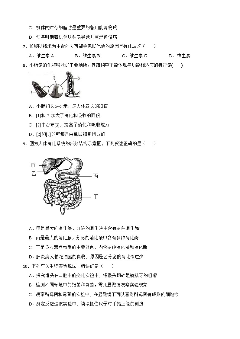 备考中考生物专题 人体的营养解析版第2页