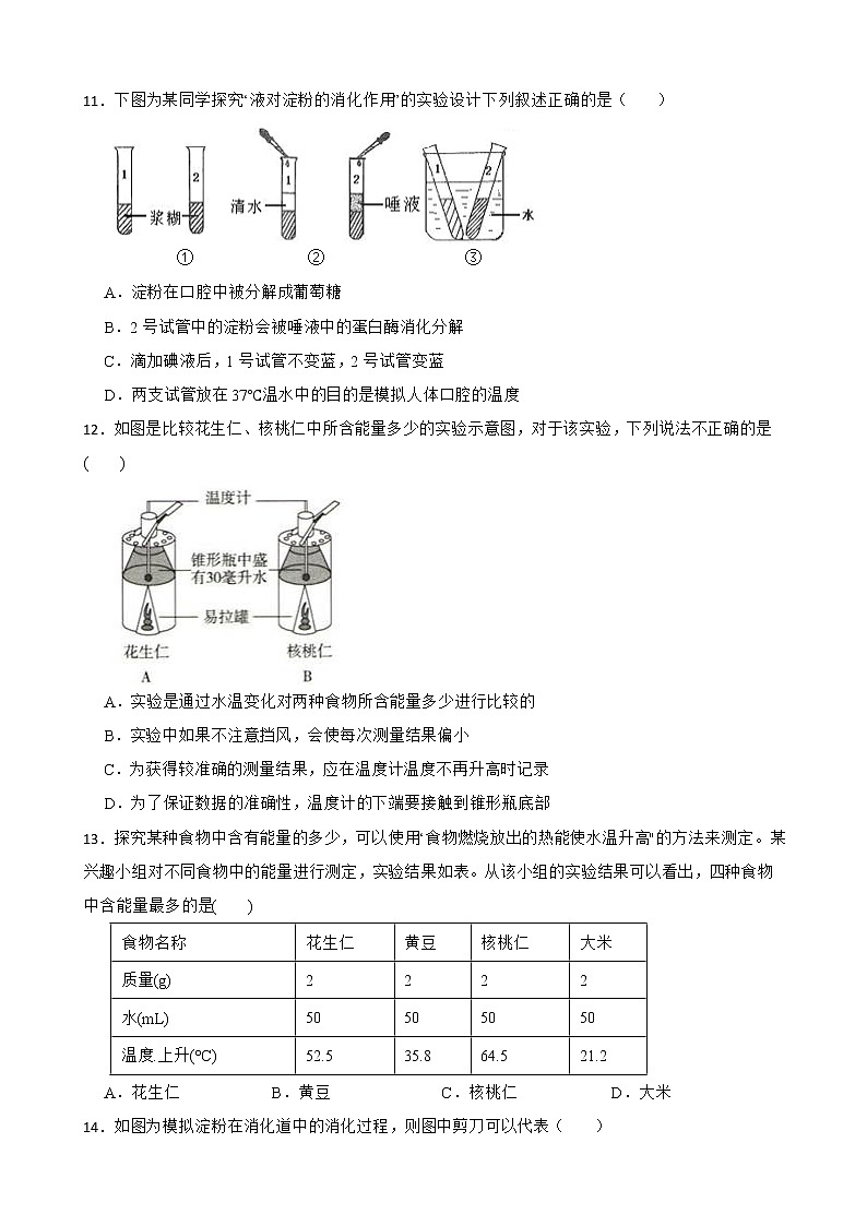 备考中考生物专题 人体的营养解析版第3页